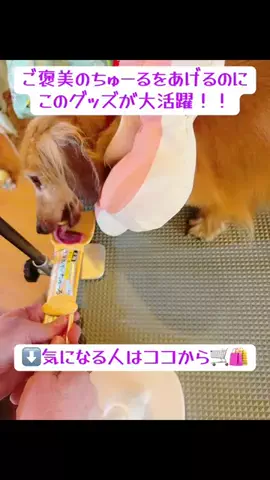 みかりんのTikTok投稿