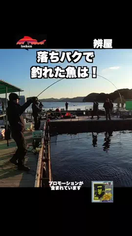 伊勢志摩つりとも研究所のTikTok投稿
