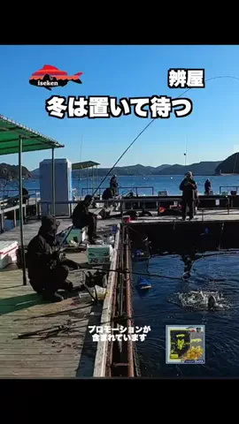 伊勢志摩つりとも研究所のTikTok投稿