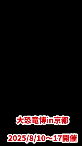 ティンカノのTikTok投稿