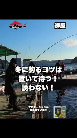 伊勢志摩つりとも研究所のTikTok投稿