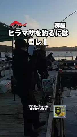伊勢志摩つりとも研究所のTikTok投稿
