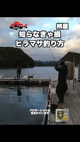 伊勢志摩つりとも研究所のTikTok投稿