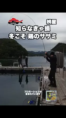 伊勢志摩つりとも研究所のTikTok投稿