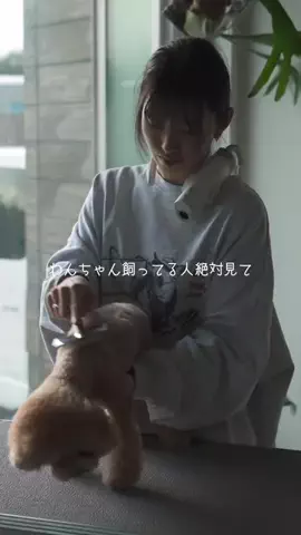 ゆう&しょう｜愛犬とジムニーキャンプのTikTok投稿