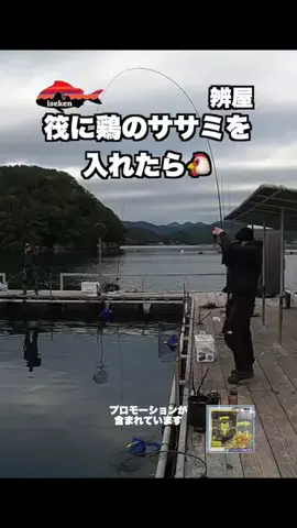 伊勢志摩つりとも研究所のTikTok投稿