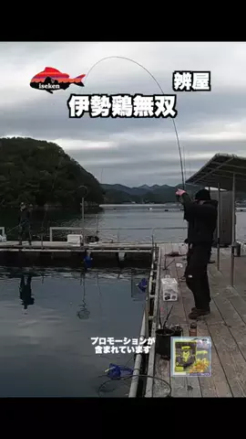 伊勢志摩つりとも研究所のTikTok投稿