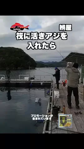 伊勢志摩つりとも研究所のTikTok投稿