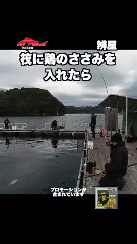 伊勢志摩つりとも研究所のTikTok投稿