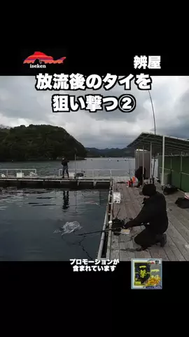 伊勢志摩つりとも研究所のTikTok投稿