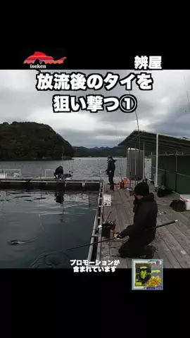 伊勢志摩つりとも研究所のTikTok投稿