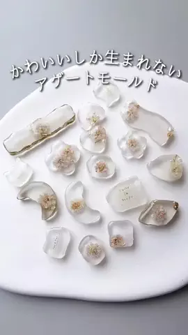 もりもとまきこのTikTok投稿
