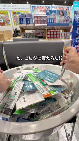 ハリママのTikTok投稿
