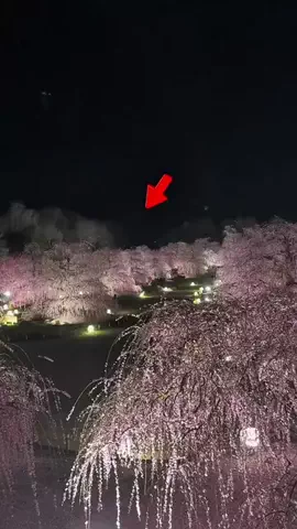 逆転大学生🔥 @就活👔のTikTok投稿