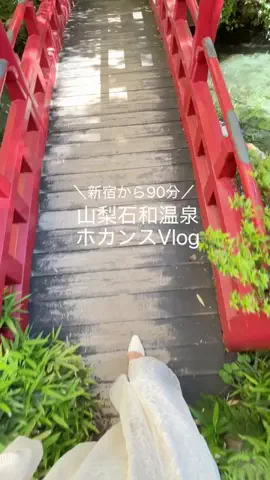 いけちゃん 🐶🫧のTikTok投稿