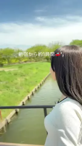 いけちゃん 🐶🫧のTikTok投稿