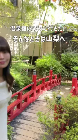 いけちゃん 🐶🫧のTikTok投稿
