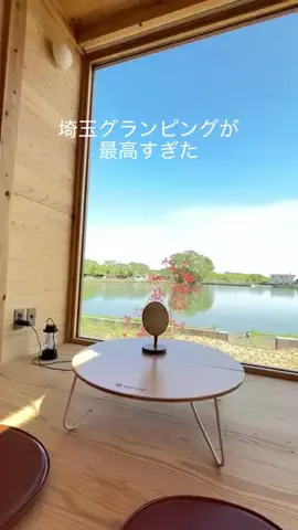 いけちゃん 🐶🫧のTikTok投稿
