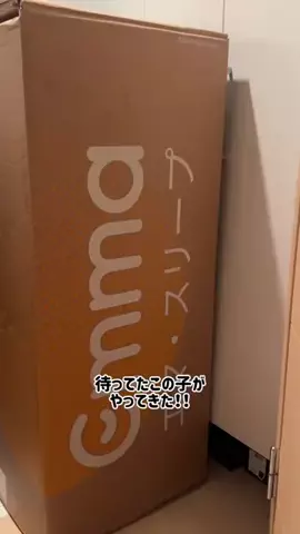 谷川菜奈のTikTok投稿