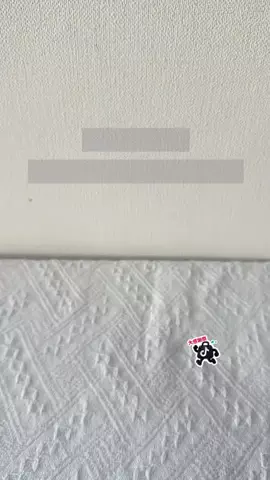 たけのTikTok投稿