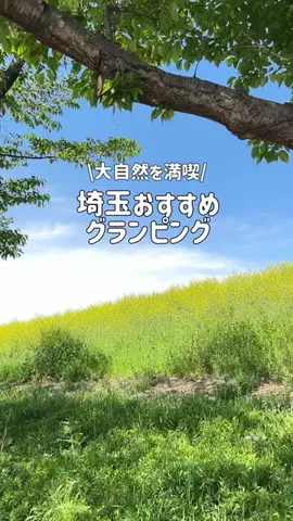 いけちゃん 🐶🫧のTikTok投稿