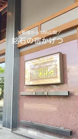 いけちゃん 🐶🫧のTikTok投稿