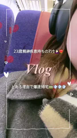 shn_zelのTikTok投稿