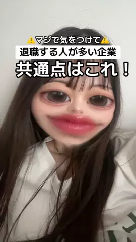 あお🧸@就活のリアルのTikTok投稿