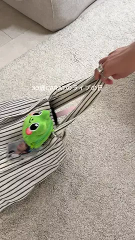yuiのTikTok投稿