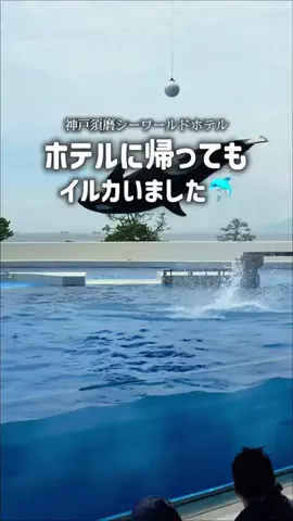 りん【お出かけ大好きESFJ】のTikTok投稿
