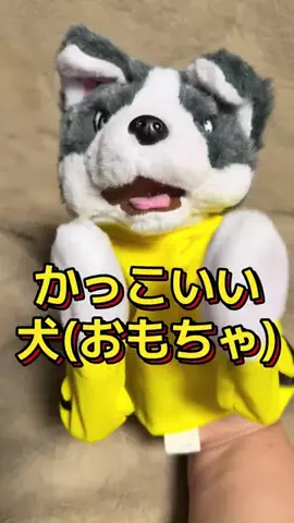 🍋remon🍋🏍️coelacanthのTikTok投稿
