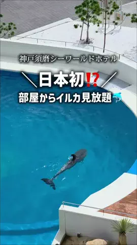 りん【お出かけ大好きESFJ】のTikTok投稿