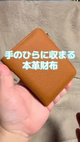 🍋remon🍋🏍️coelacanthのTikTok投稿