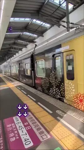 トアンもん　チャンネルのTikTok投稿