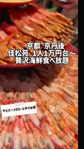 りん【お出かけ大好きESFJ】のTikTok投稿