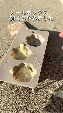 ニルスのTikTok投稿