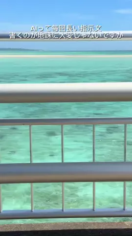 ニルスのTikTok投稿