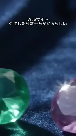 ニルスのTikTok投稿