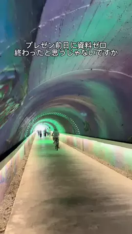 ニルスのTikTok投稿