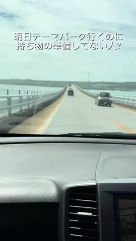 ニルスのTikTok投稿