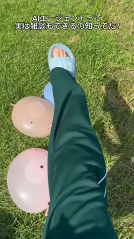 ニルスのTikTok投稿