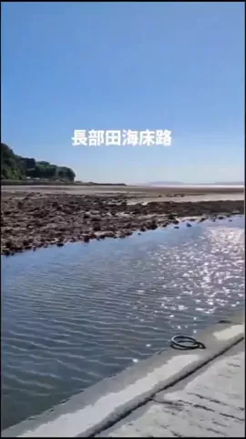 トアンもん　チャンネルのTikTok投稿