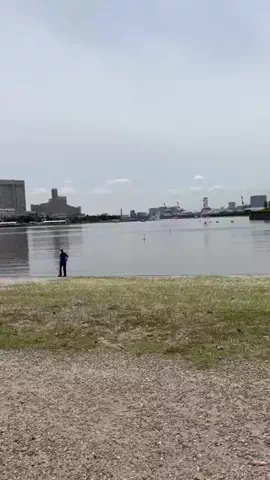 ニルスのTikTok投稿