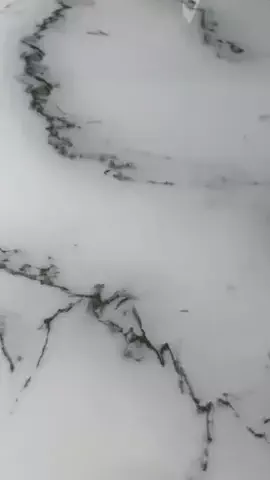 ISSEIのTikTok投稿
