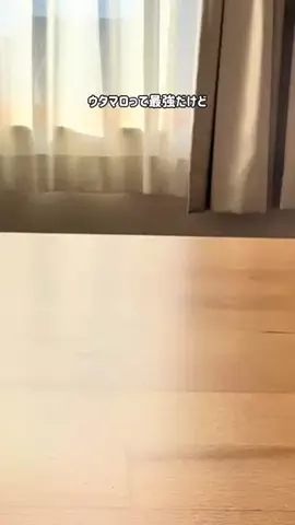 しまのTikTok投稿