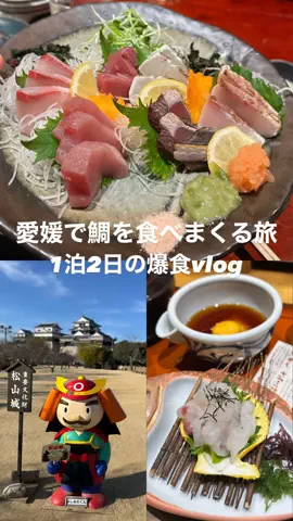 高山凌の外食日記✈️ホテル旅のTikTok投稿