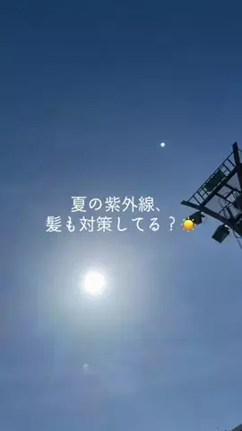 さやまるのTikTok投稿