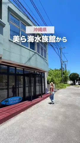 ode.kake_okinawaのTikTok投稿