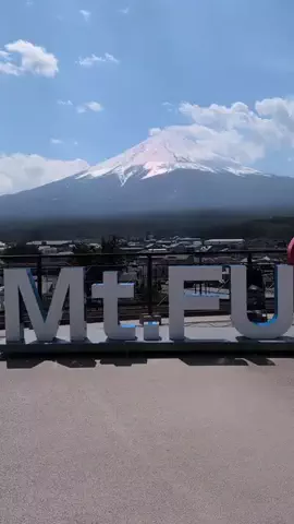 msmのTikTok投稿