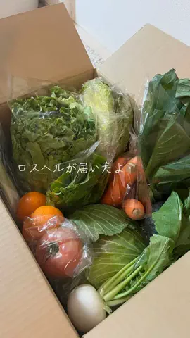 森のくま子⌇𝟸人前𝟻𝟶𝟶円で作る【節約レシピ】のTikTok投稿
